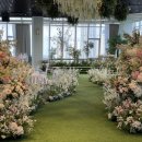 다르미앙 이미지