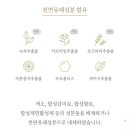 마마포레스트 이미지