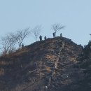 라성민박 이미지