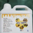 세종양봉백화점 이미지