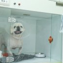 정말로동물병원 이미지