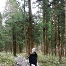 소래산탐방안내소 | 겨울 제주여행 /6박7일 제주도 여행 / 크리스마스 제주 한라산 백록담 성판악코스 / 등산 준비물