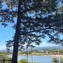 미니호텔 메이(MAY)(자갈치시장점) | [3박 4일 제주 여행] 2일차 항몽유적지, 수리코, 환상숲곶자왈, 만선식당, 글라글라하와이