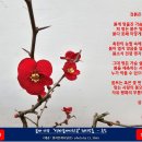 명자 사랑 명자 분재 詩 카드 - 검붉은 흑조 이미지