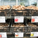 우림가든 이미지