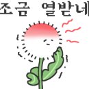 낭만안경 이미지