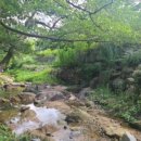 감나무골체육소공원 이미지