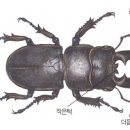 #생물이야기 76 이미지