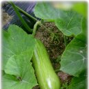 이천농장 이미지