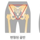 글래머짐 이미지