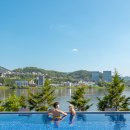 이든펫스파 | 양평 여행 🐶 양평 애견동반 펜션 이든독 수영장, 애견훈련