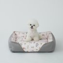 펫 마마의 집 이미지