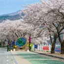 레일바이크공원강변 이미지