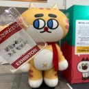 골드 캣 | 2023년 궁디팡팡캣페스타 12월 세텍궁팡 3일 후기 궁팡때샷