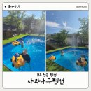 청송나무집 | 청송여행 물놀이펜션으로 선택한 청송펜션: 사과나무펜션