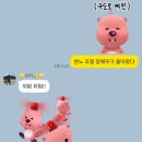 까사마레 이미지