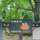 박진 효자비 이미지