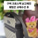 메리다 패밀리 리페어 이미지