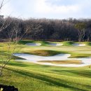 테디벨리 이미지