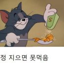 톰과 제리 Daum카페