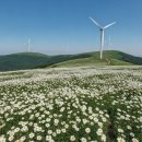 비경 | 4050 직장인 여름휴가, 왕복 3시간으로 스트레스 다 날려버린 비경 명소 (솔직 후기)