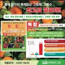 정희농장 이미지