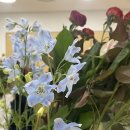 락휴 코인노래연습장 동아대점 이미지