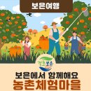 분저리녹색체험마을 | 체험하기 딱 좋은 날!(보은 체험여행,농촌체험추천, 구병아름마을, 두메마을, 어부동연꽃마을, 분저리...