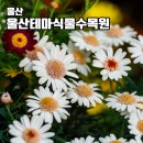 울산 여행 가볼만한 곳 울산테마식물수목원 이색 데이트 코스 주말 나들이