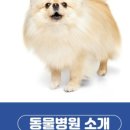 수서동물병원 네이버블로그