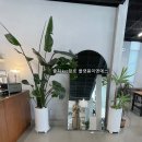 성현동-26 이미지