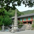 공생선원 Daum카페