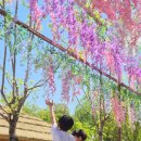 내포로 | 내포보부상촌 아이랑 후기｜어린이날 나들이 추천 (놀거리 총정리)