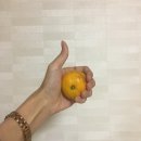 또시온