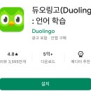 지금 바로 기초 영어 | 무료 영어공부 어플, 듀오링고앱: 무료 기초 영어 학습앱