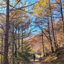 [거창군 위천면] 금원산 자연휴양림 &amp; 금원산 임도 라이딩 후기