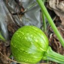 맷돌농장 이미지