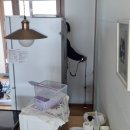 거제4동 행정복지센터 | 부산 연제구 거제동누수탐지 아파트 복도 소화기함 물떨어짐 원인 해결