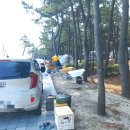 연곡해변 입구 | 강릉 연곡해변 솔향기캠핑장 솔직 후기(명당 아니어도 충분히 만족한 자리)