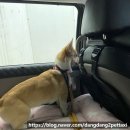 나미컴퍼니 이미지