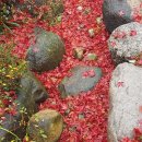 남산행정사사무소 이미지