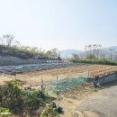 국원공인중개사사무소 이미지