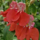 행정사차상용사무소 이미지