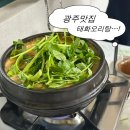 오리요리의거리 | 광주 오리요리거리 태화오리탕 오리탕맛집 추천 내돈내산 후기👍