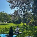 주말요가 이미지