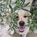 해남여행민박 이미지