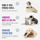 국도변 법면 디자인 | 파주 강아지 장례식장 연락하면 어떤 순서로 절차가 진행되나요