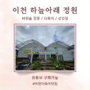 [이천] 다육식물 바위솔전문 하늘아래정원 방문 후기