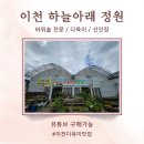 하늘아래 | [이천] 다육식물 바위솔전문 하늘아래정원 방문 후기