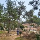 읍리 지석묘 이미지